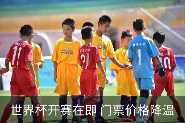 世界杯开赛在即 门票价格降温