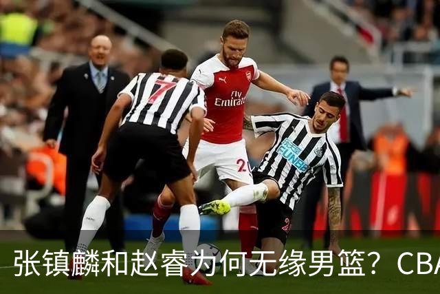 张镇麟和赵睿为何无缘男篮？CBA名记分析，道出2个原因