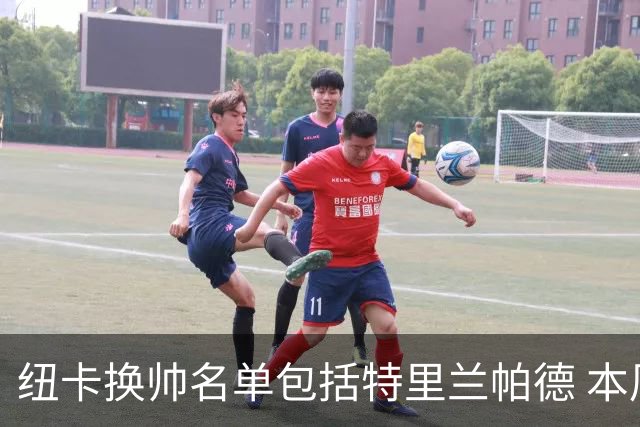 纽卡换帅名单包括特里兰帕德 本周将确定最后人选