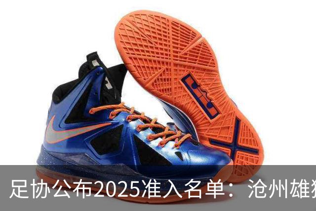 足协公布2025准入名单：沧州雄狮、广州队无缘